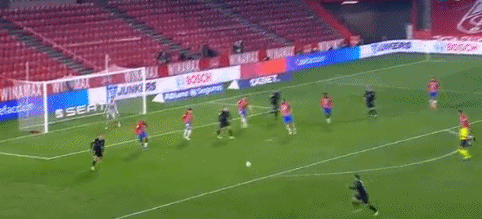 林诗栋说感谢大哥大姐莎头绷不住了林诗栋发言莎头表情亮了